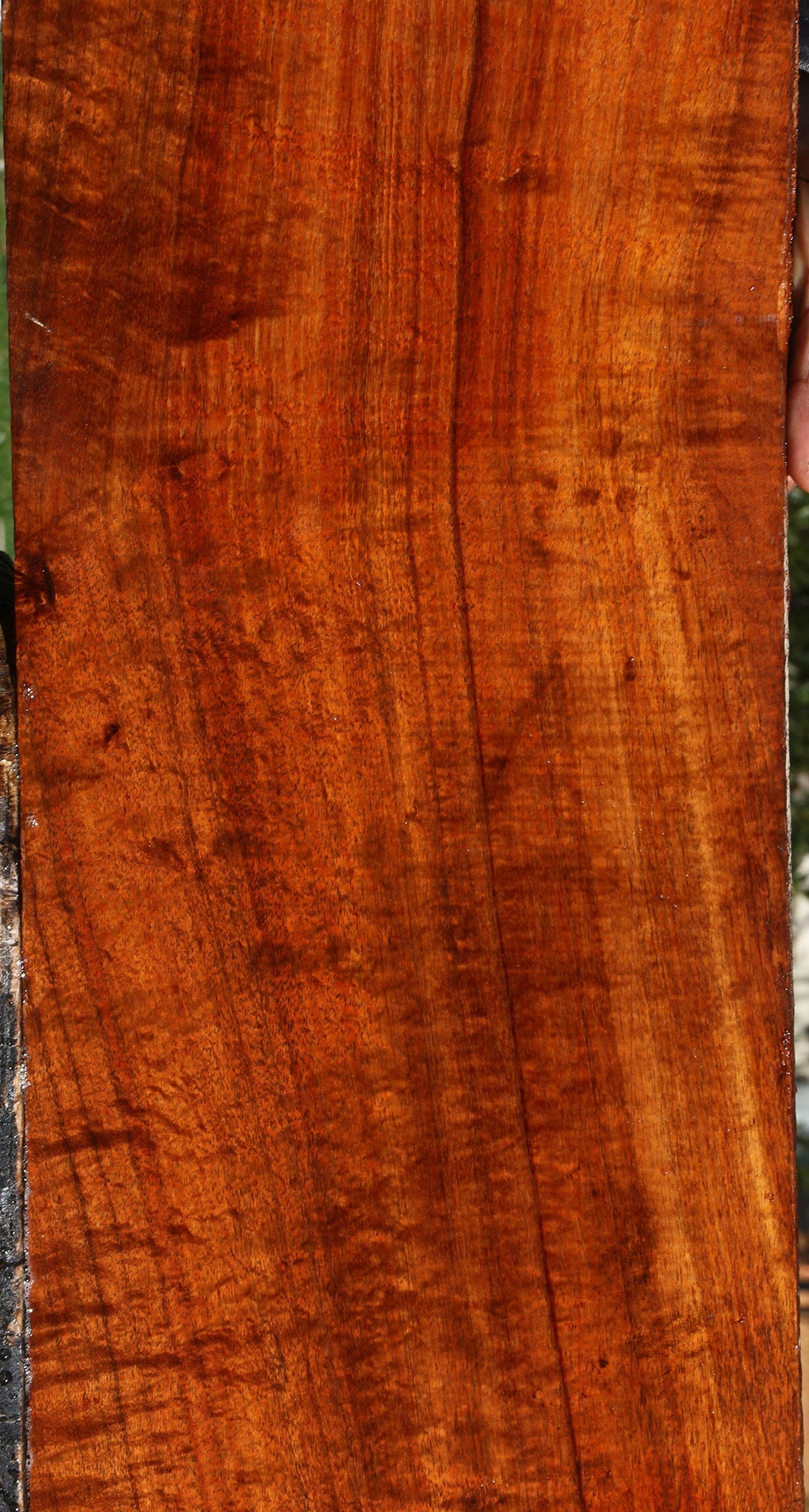 Exhibition Hawaiian Koa Lumber
