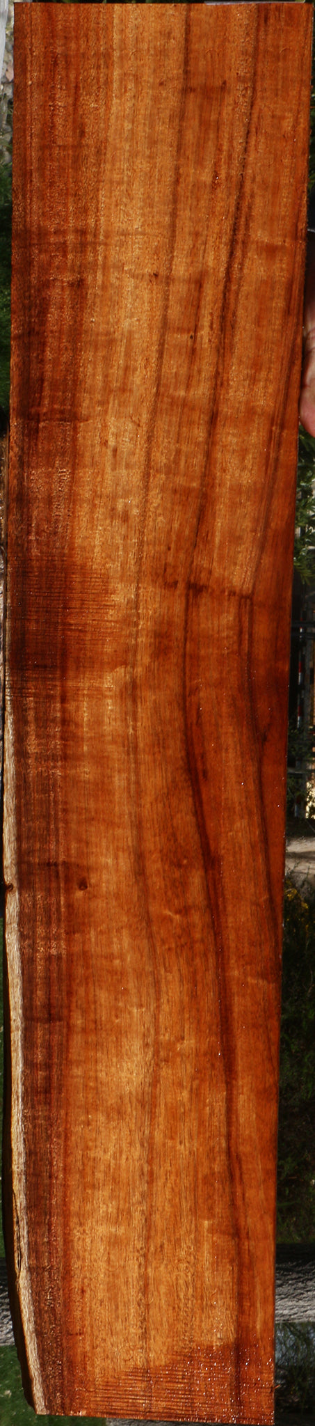 Extra Fancy Hawaiian Koa Instrument  Lumber