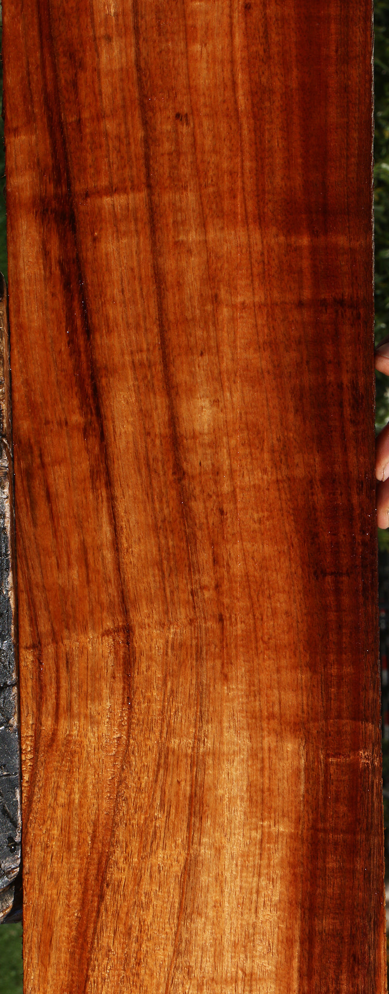 Extra Fancy Hawaiian Koa Instrument  Lumber