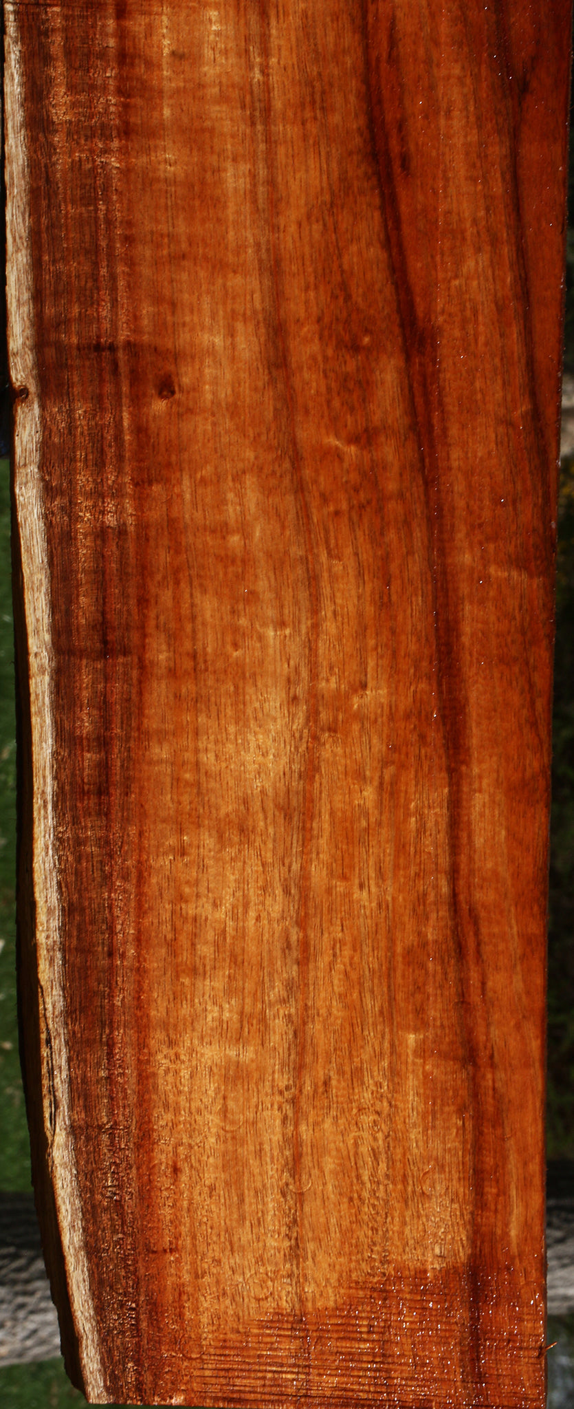 Extra Fancy Hawaiian Koa Instrument  Lumber