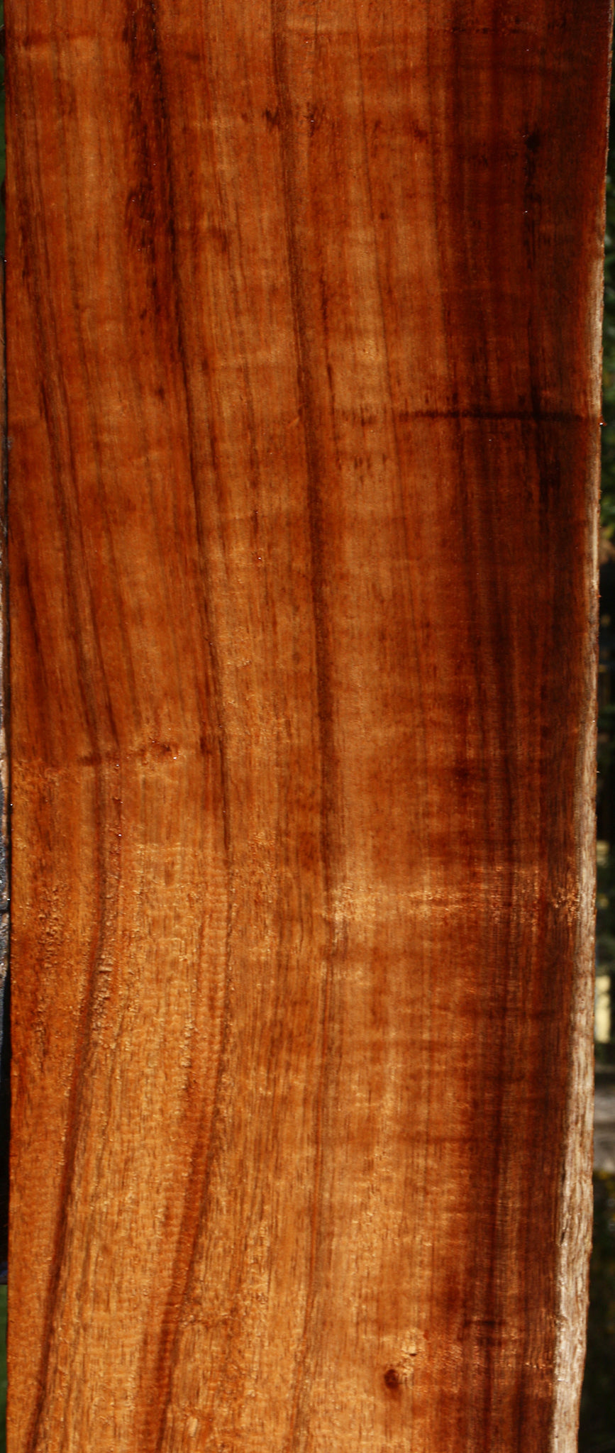 Quartersawn Hawaiian Koa Instrument  Lumber