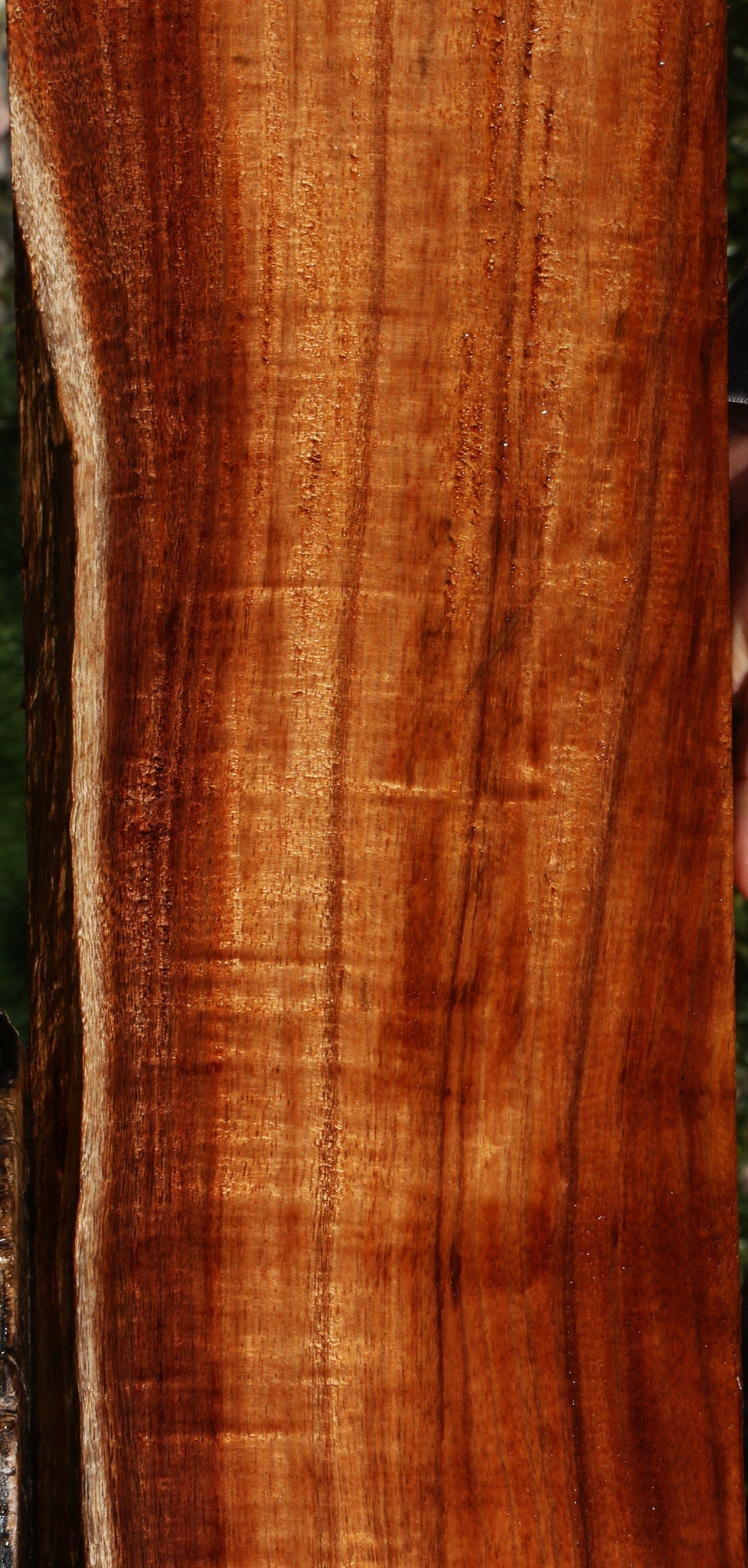 Quartersawn Hawaiian Koa Instrument  Lumber