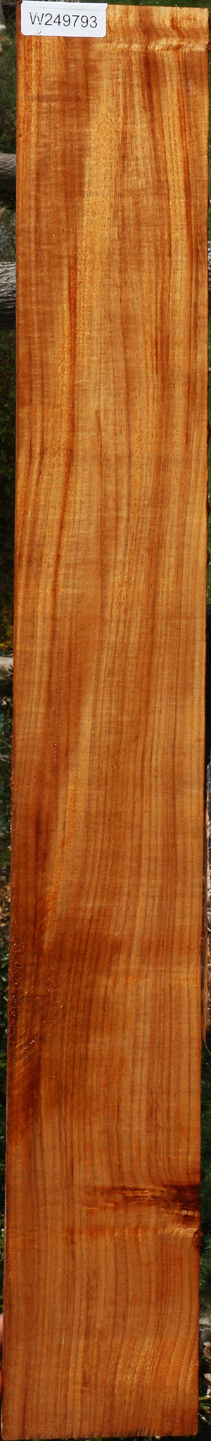 Extra Fancy Quartersawn Hawaiian Koa Instrument Lumber