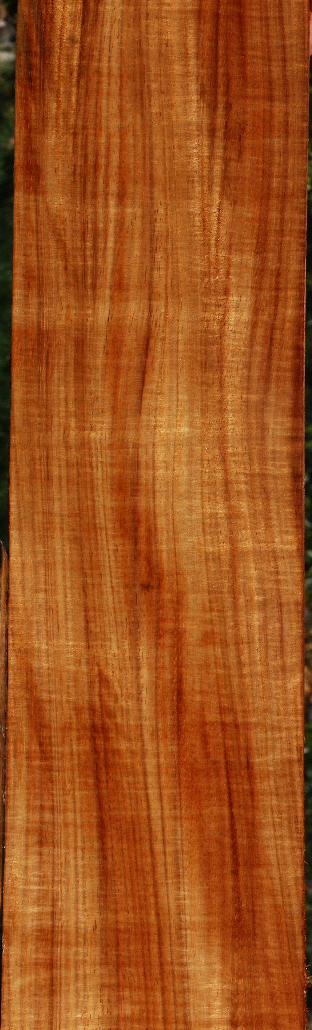 Extra Fancy Quartersawn Hawaiian Koa Instrument Lumber