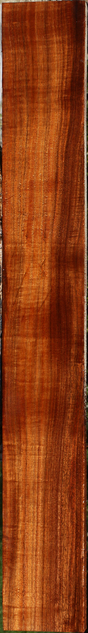 Extra Fancy Quartersawn Hawaiian Koa Instrument Lumber