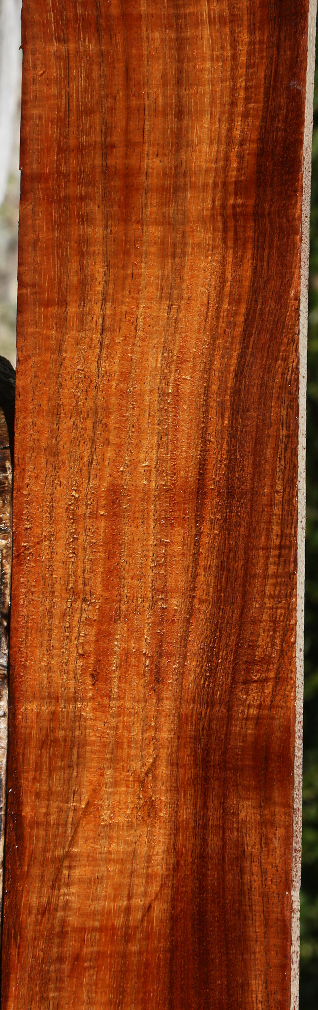 Extra Fancy Quartersawn Hawaiian Koa Instrument Lumber