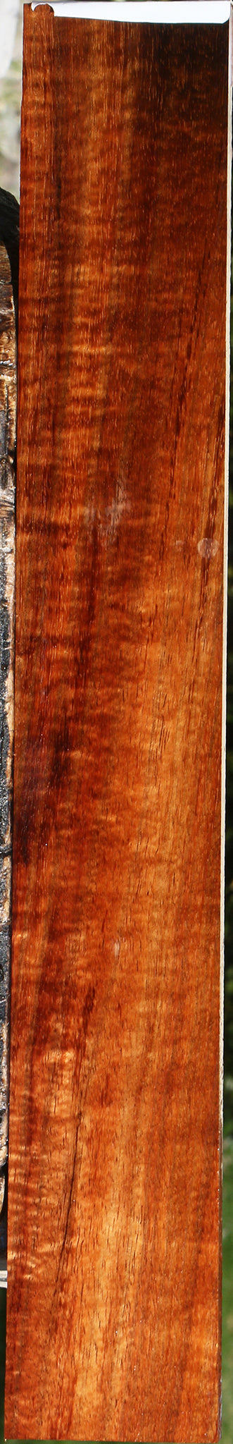 Extra Fancy Hawaiian Koa Micro Lumber