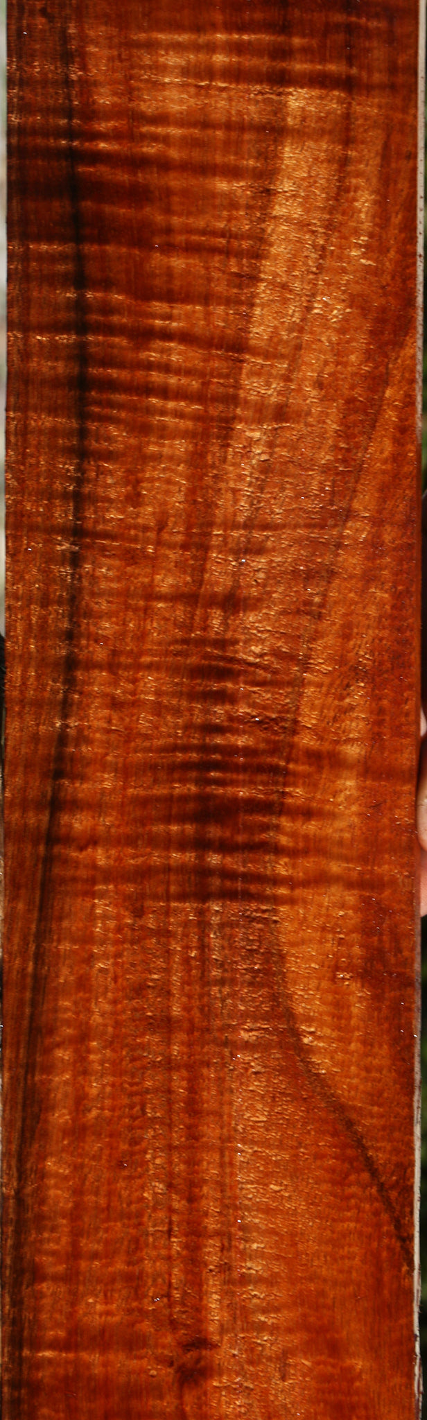 Extra Fancy Hawaiian Koa Micro Lumber