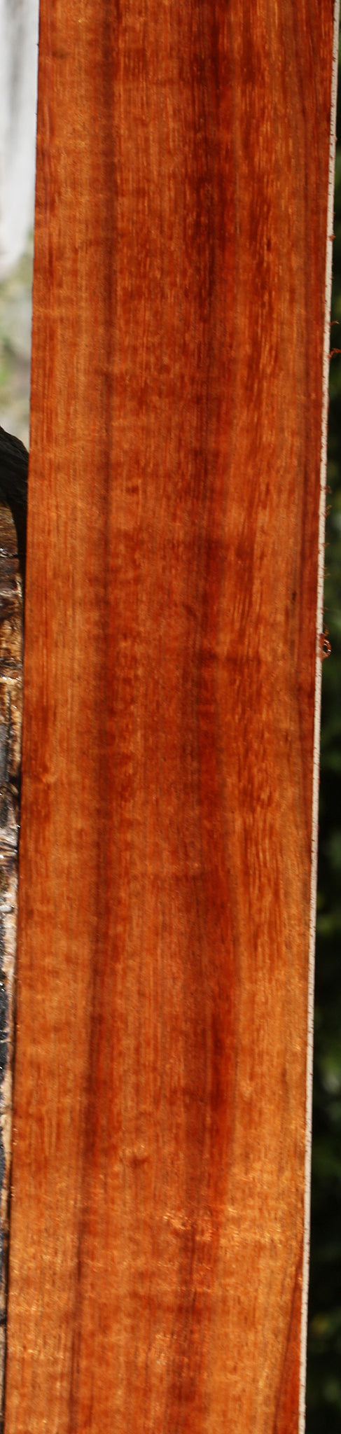 Extra Fancy Hawaiian Koa Micro Lumber