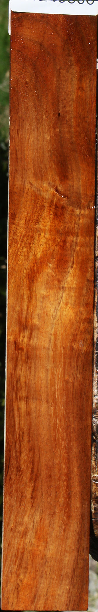 Figured Hawaiian Koa Micro Lumber