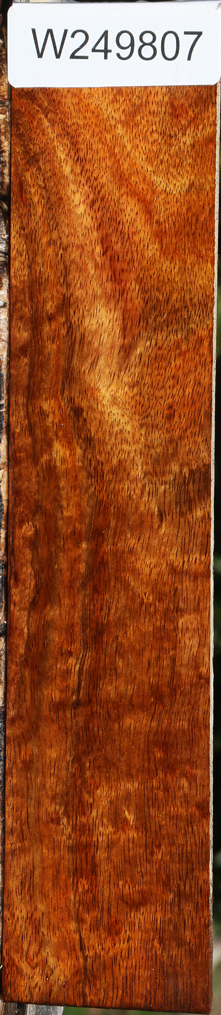Extra Fancy Hawaiian Koa Micro Lumber