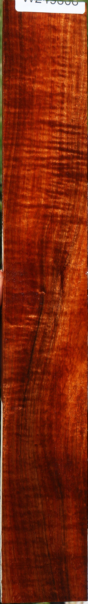 Extra Fancy Hawaiian Koa Micro Lumber