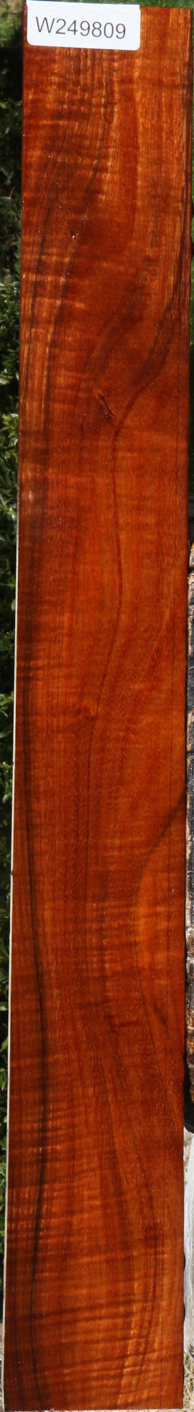 Extra Fancy Hawaiian Koa Micro Lumber