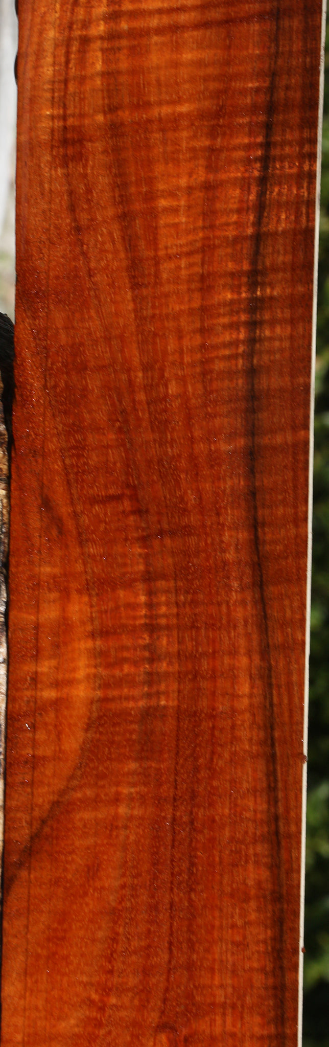 Extra Fancy Hawaiian Koa Micro Lumber