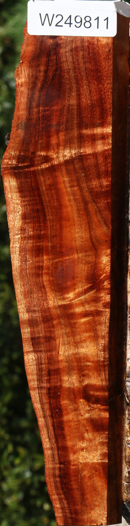 Extra Fancy Hawaiian Koa Live Edge Lumber