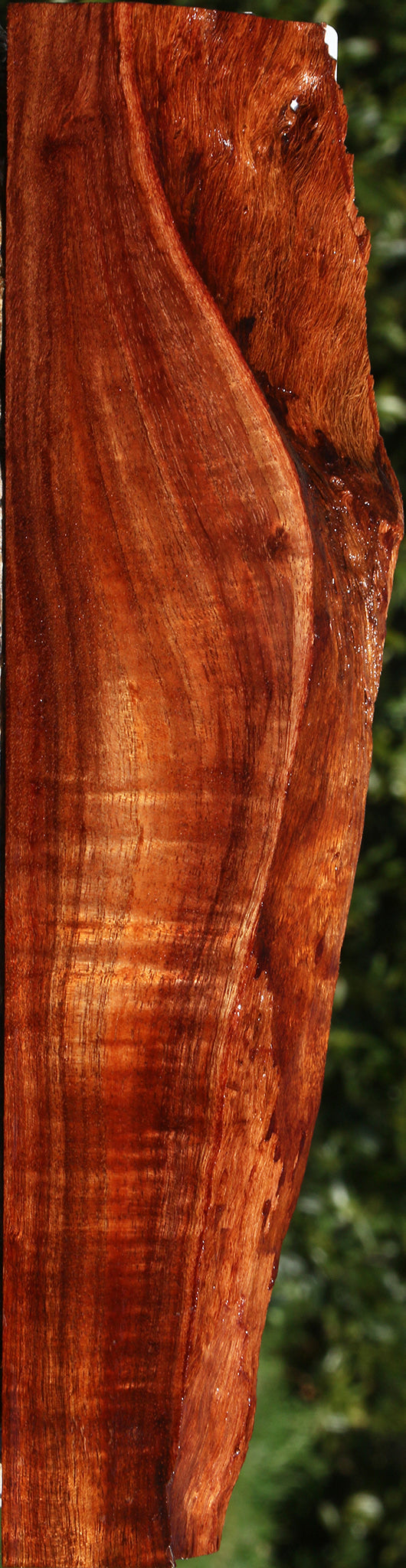 Extra Fancy Hawaiian Koa Live Edge Lumber