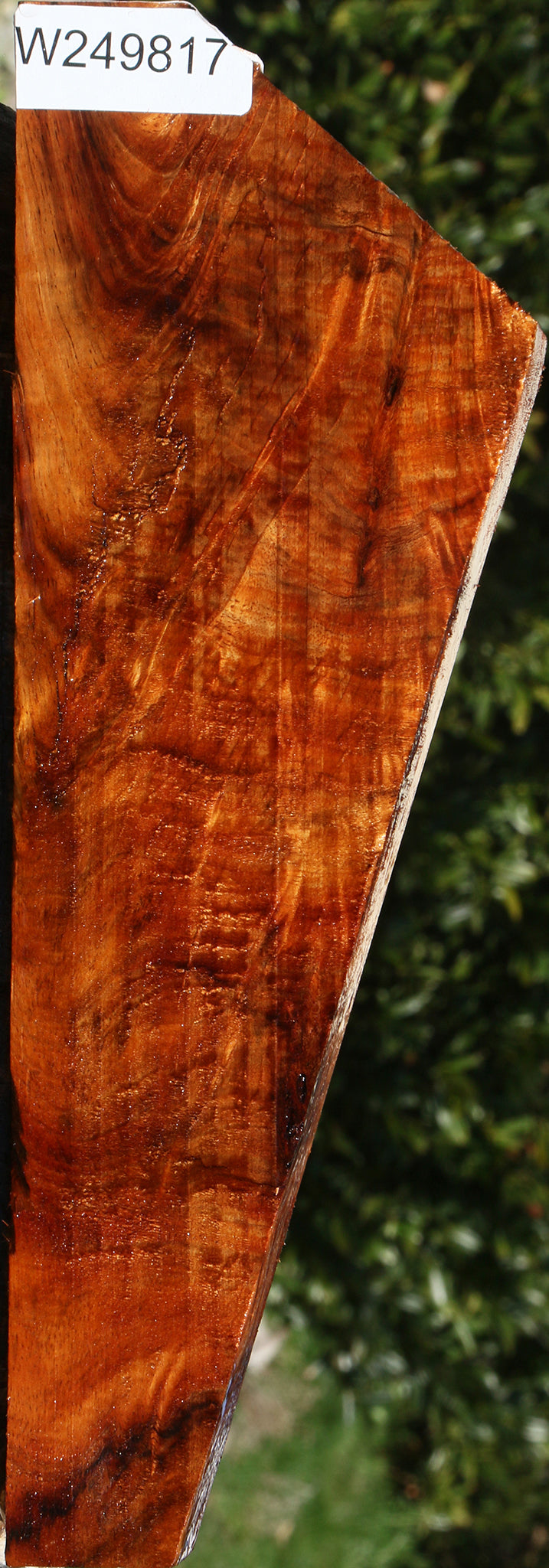 Extra Fancy Crotchwood Hawaiian Koa Lumber