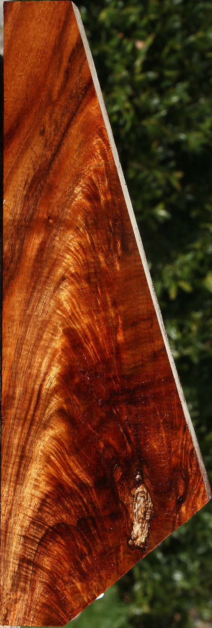 Extra Fancy Crotchwood Hawaiian Koa Lumber
