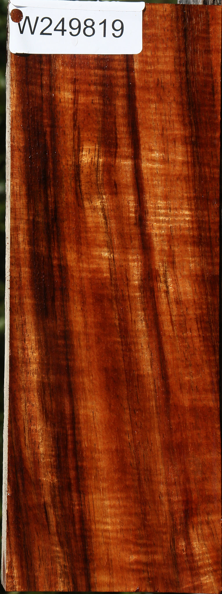 Exhibition Hawaiian Koa Lumber