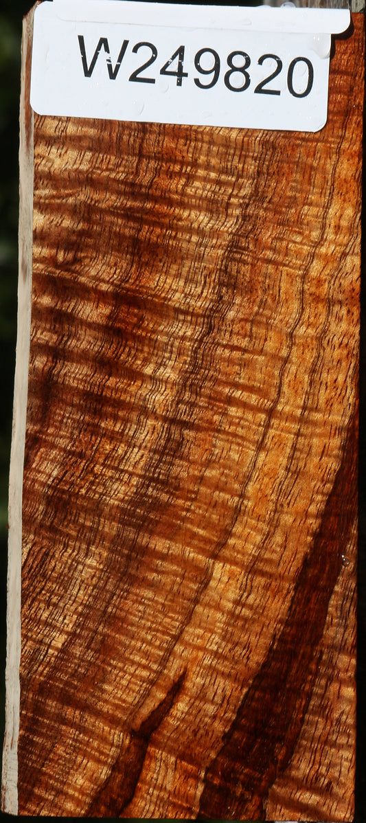 Exhibition Hawaiian Koa Lumber
