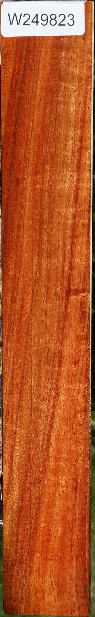 Figured Hawaiian Koa Micro Lumber