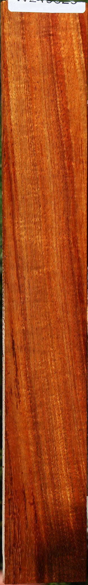 Figured Hawaiian Koa Micro Lumber