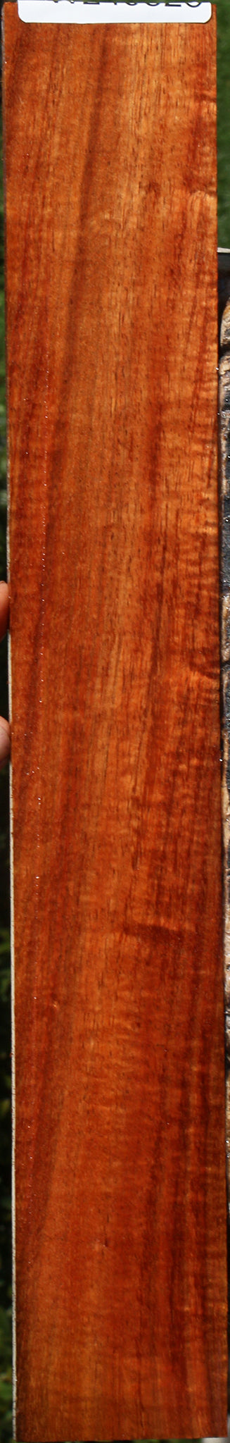 Extra Fancy Hawaiian Koa Micro Lumber