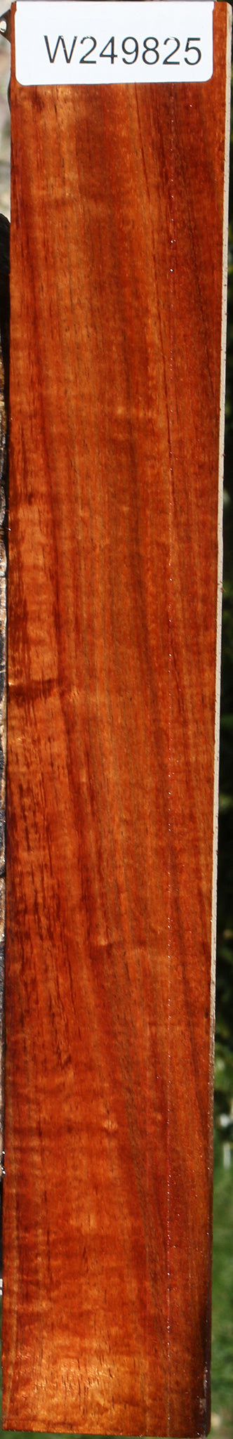 Extra Fancy Hawaiian Koa Micro Lumber