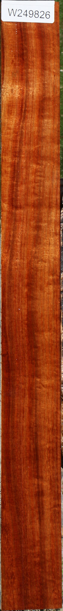 Extra Fancy Hawaiian Koa Micro Lumber