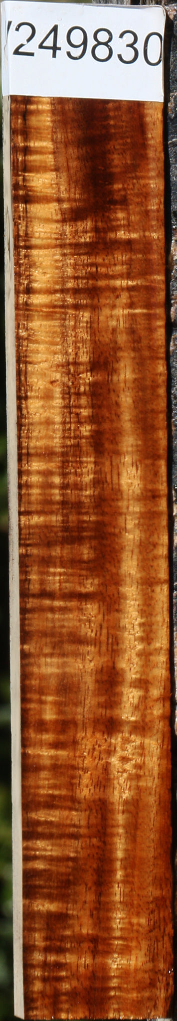 Exhibition Hawaiian Koa Lumber