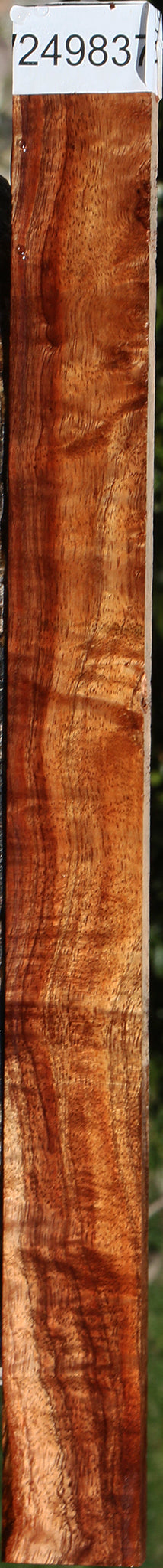 Extra Fancy Hawaiian Koa Micro Lumber