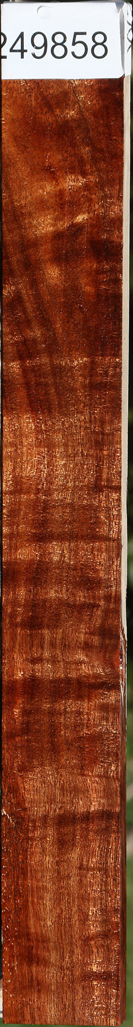 Extra Fancy Hawaiian Koa Micro Lumber
