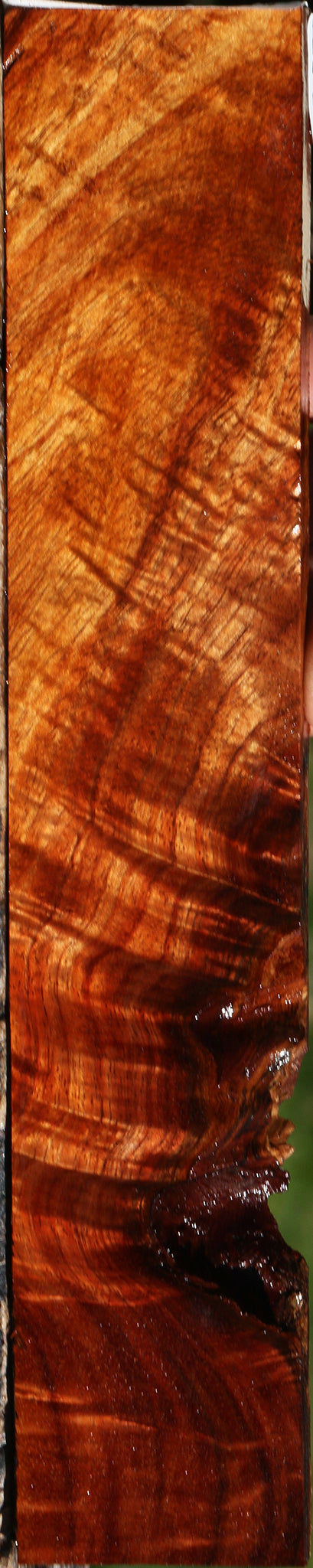 Extra Fancy Hawaiian Koa Micro Lumber