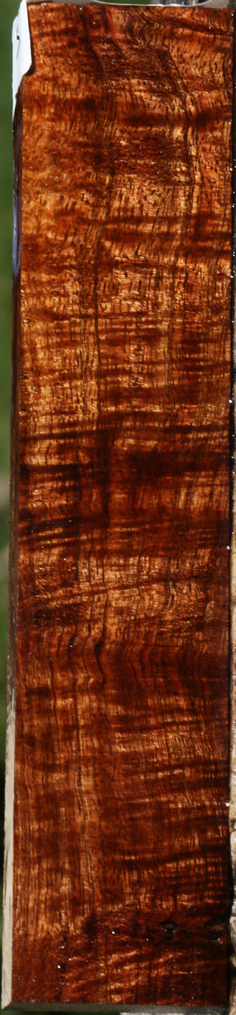 Exhibition Hawaiian Koa Lumber