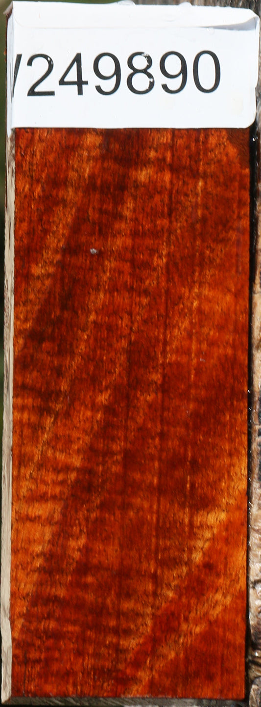 Exhibition Hawaiian Koa Lumber