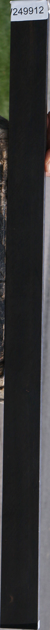 Gabon Ebony Micro Lumber