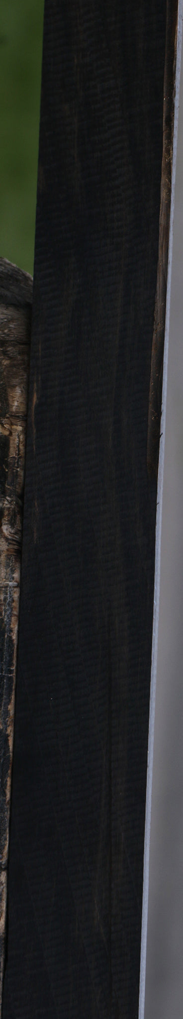 Gabon Ebony Lumber