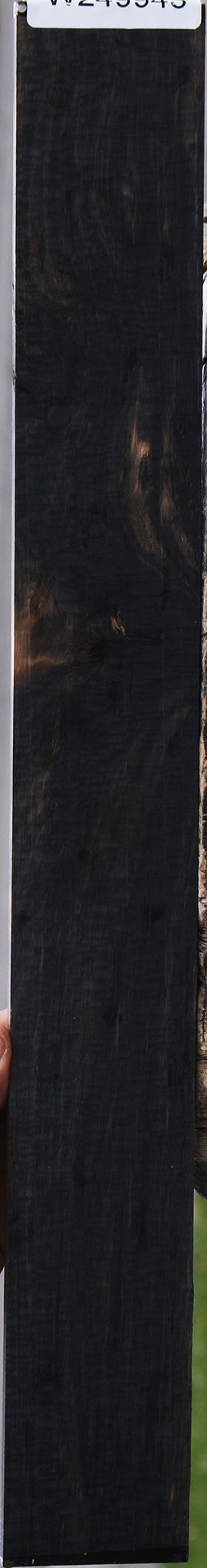 Gabon Ebony Micro Lumber