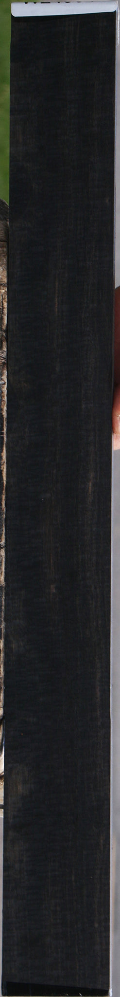 Gabon Ebony Micro Lumber