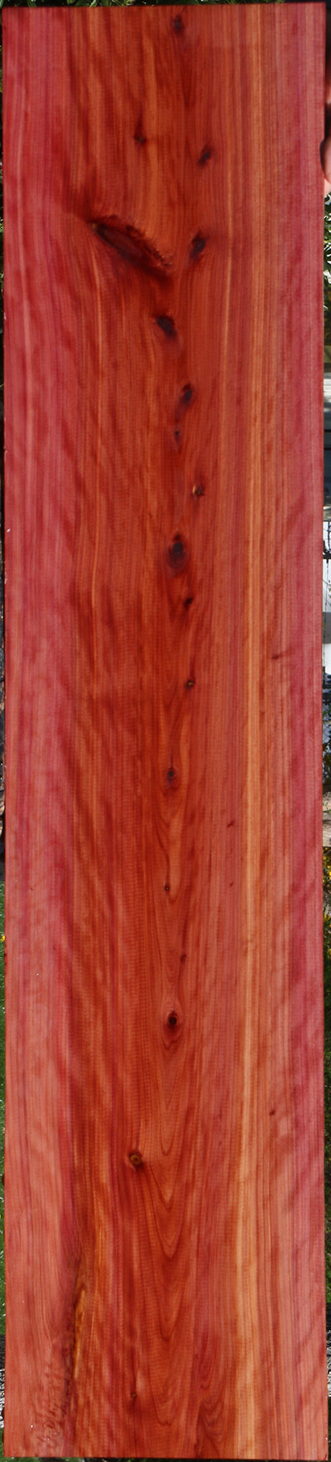 Extra Fancy Eastern Red Cedar Lumber