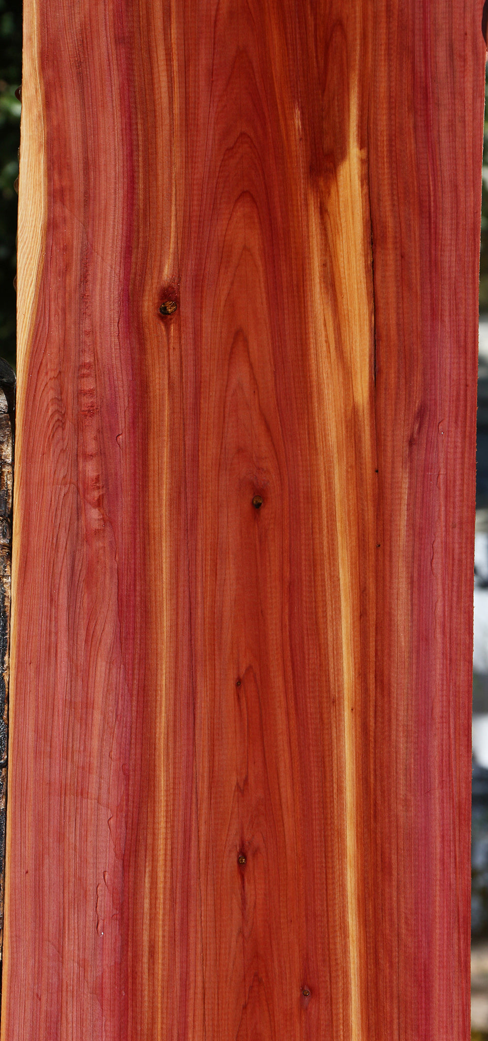 Extra Fancy Eastern Red Cedar Lumber