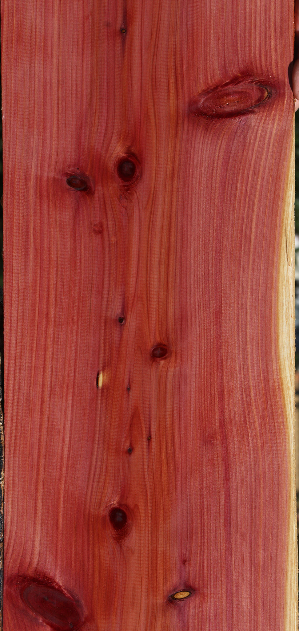 Eastern Red Cedar Lumber