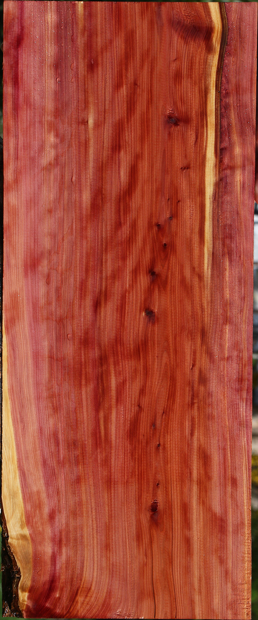 Extra Fancy Eastern Red Cedar Lumber