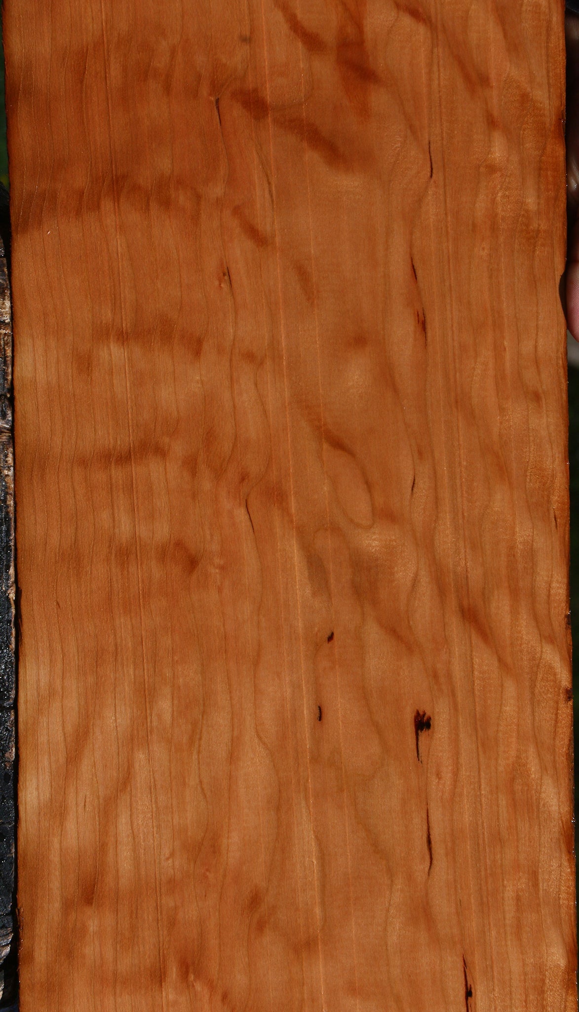 Extra Fancy Curly Cherry Lumber
