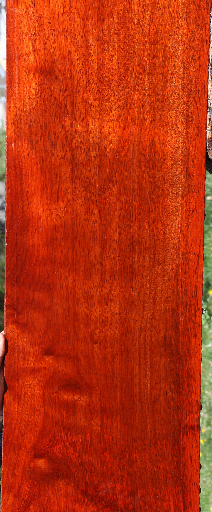 Figured Padauk Lumber