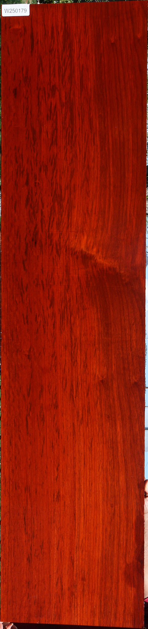 Figured Padauk Lumber