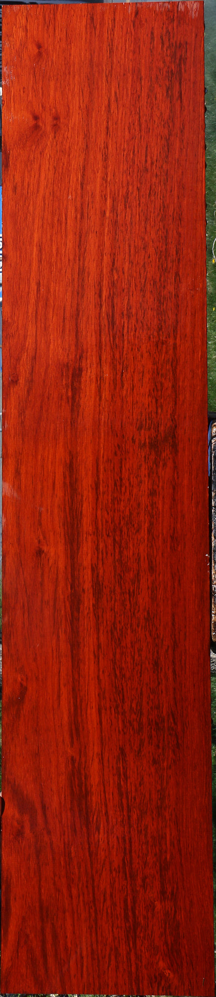 Extra Fancy Padauk Lumber