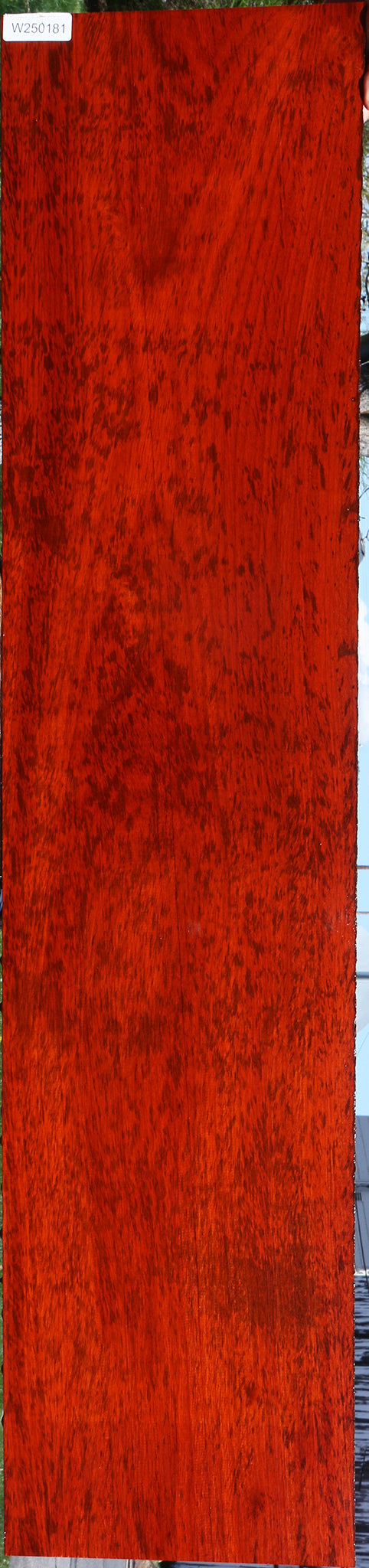 Extra Fancy Padauk Lumber