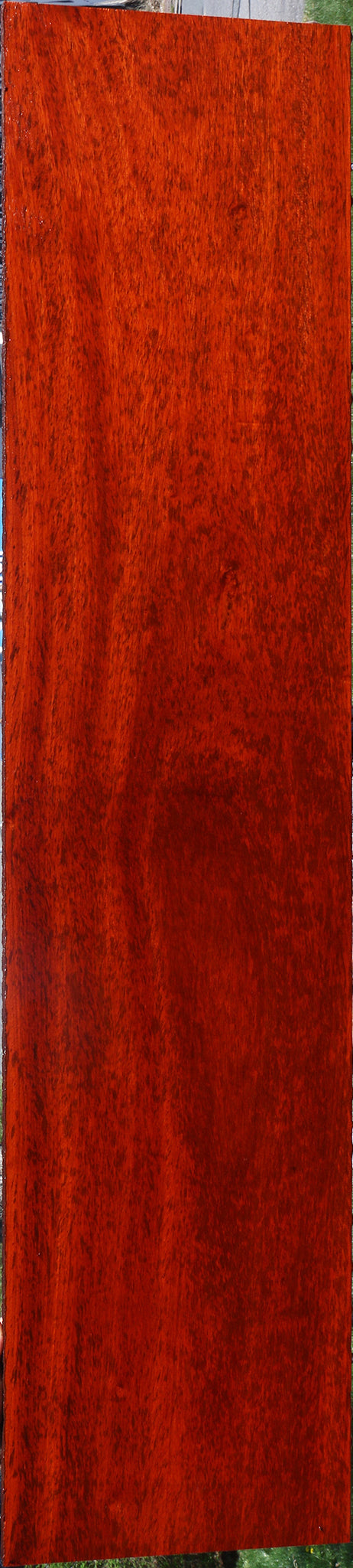 Extra Fancy Padauk Lumber