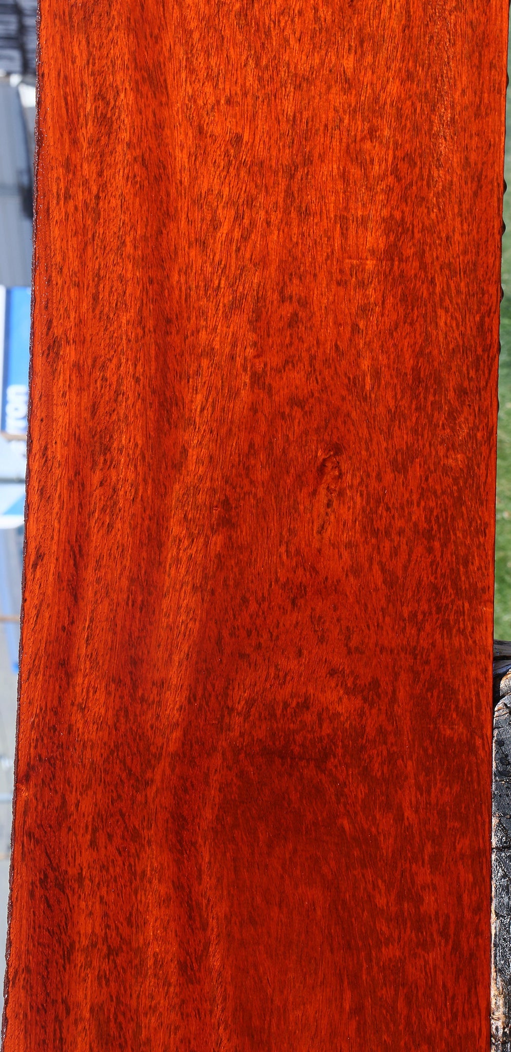 Extra Fancy Padauk Lumber